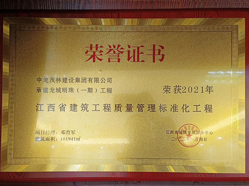 2021年龍城明珠質(zhì)量標準化工程